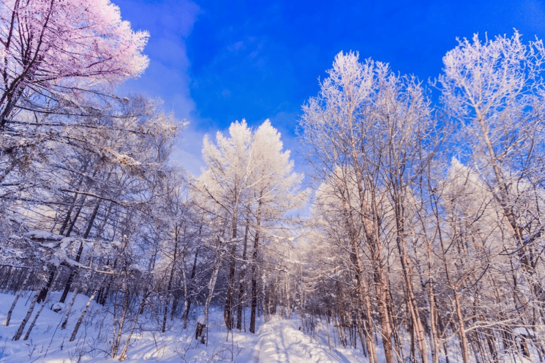 踏雪呼伦贝尔,相约浪漫的冬季