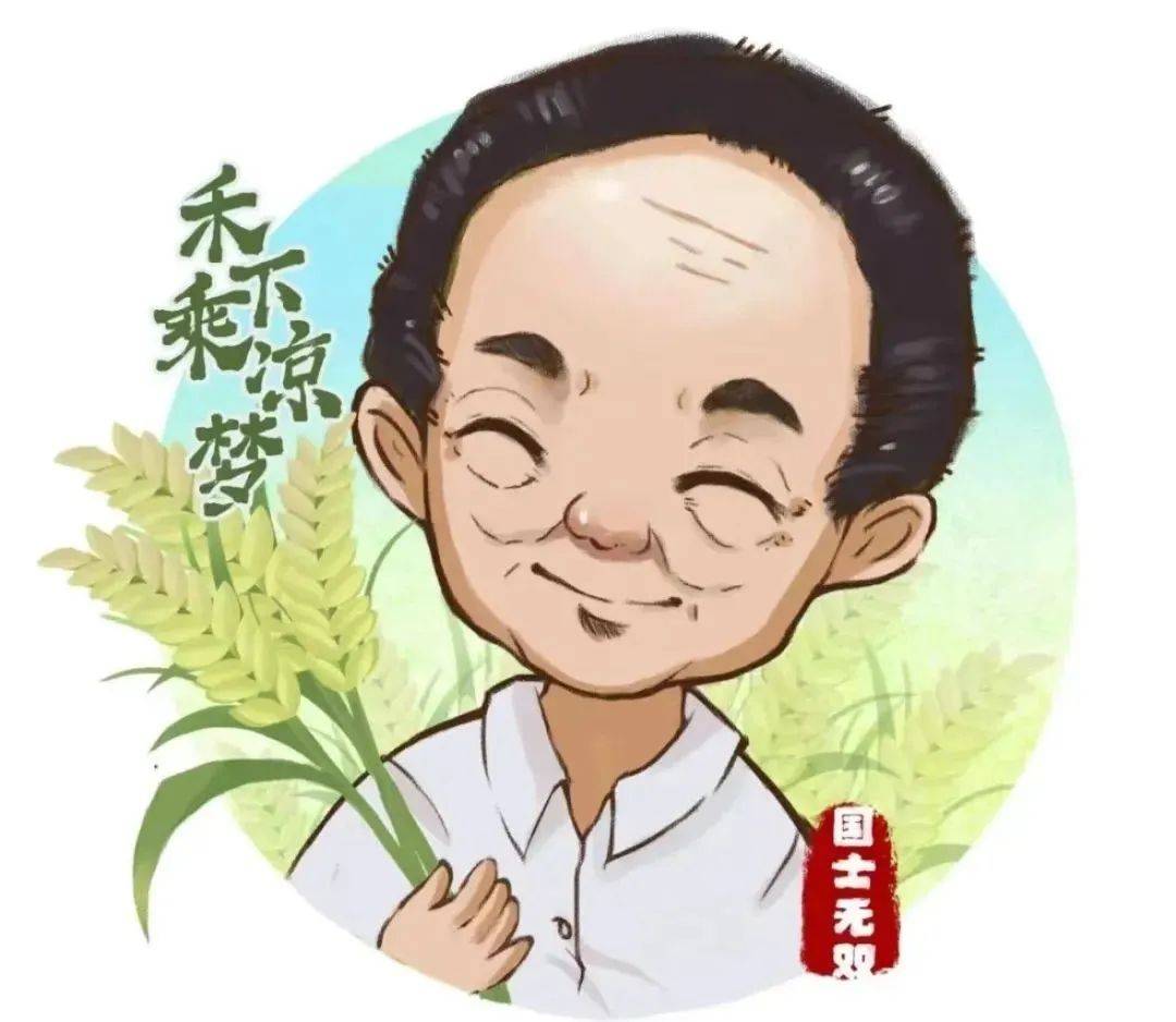 袁隆平坐到穗下乘凉
