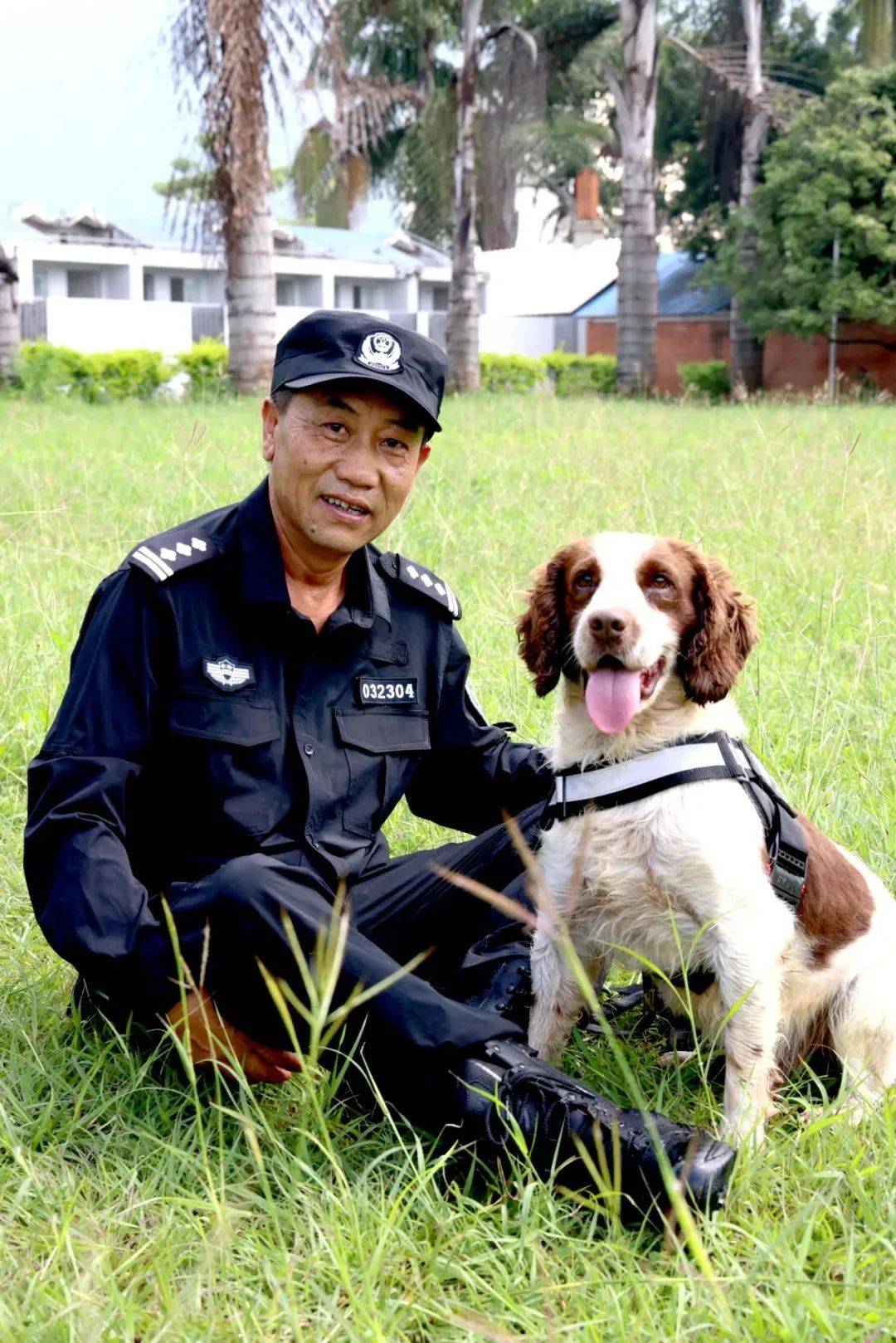 馒头不是馒头,云吞不是云吞