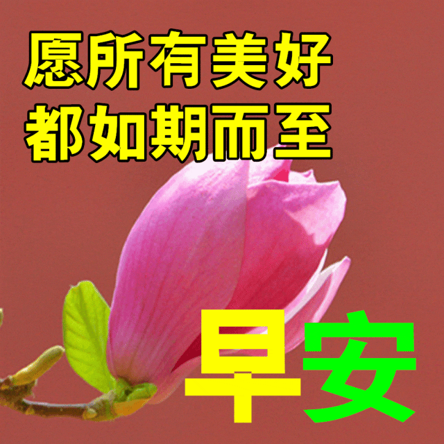 7890fcc456934f669dda9ea268575061.webp
