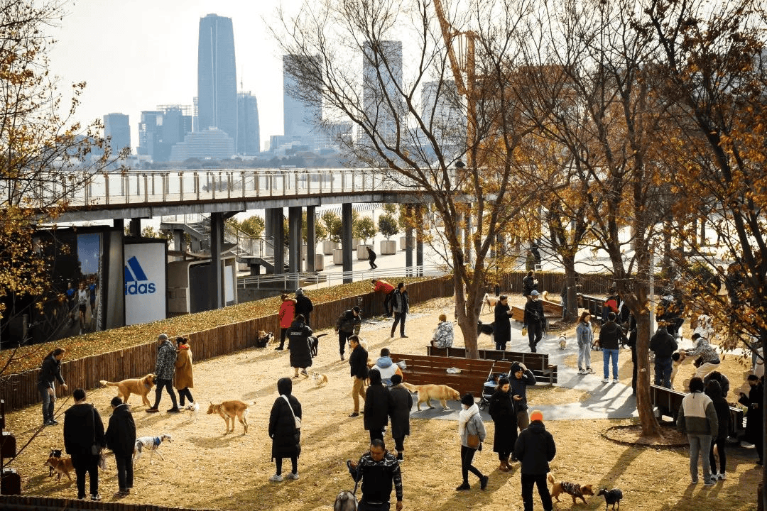 图片[14]-上海最有看头的地方，不花一分钱随便逛 -华闻时空