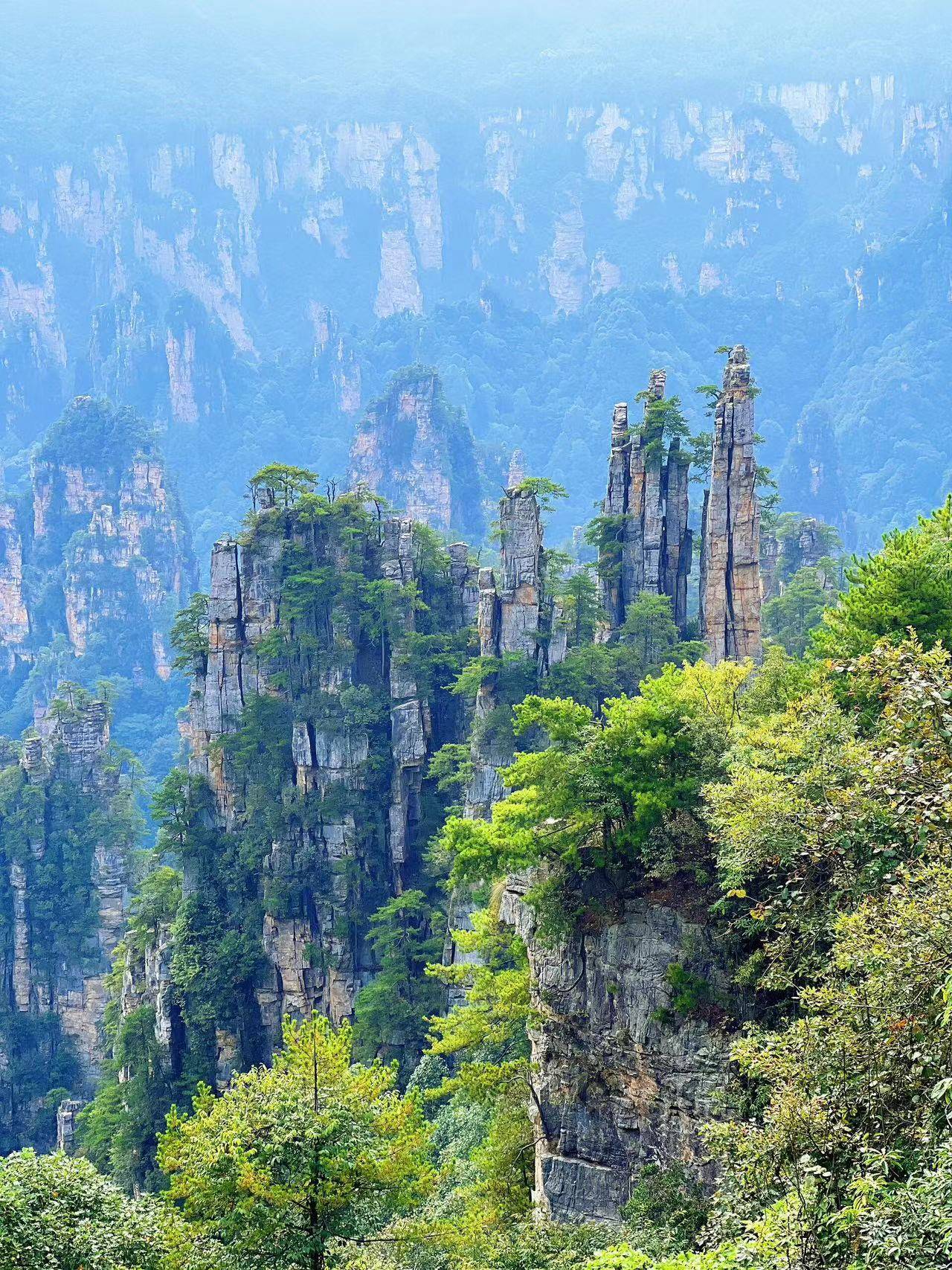 南京到张家界旅游团要多少钱?内部数字为你揭晓!