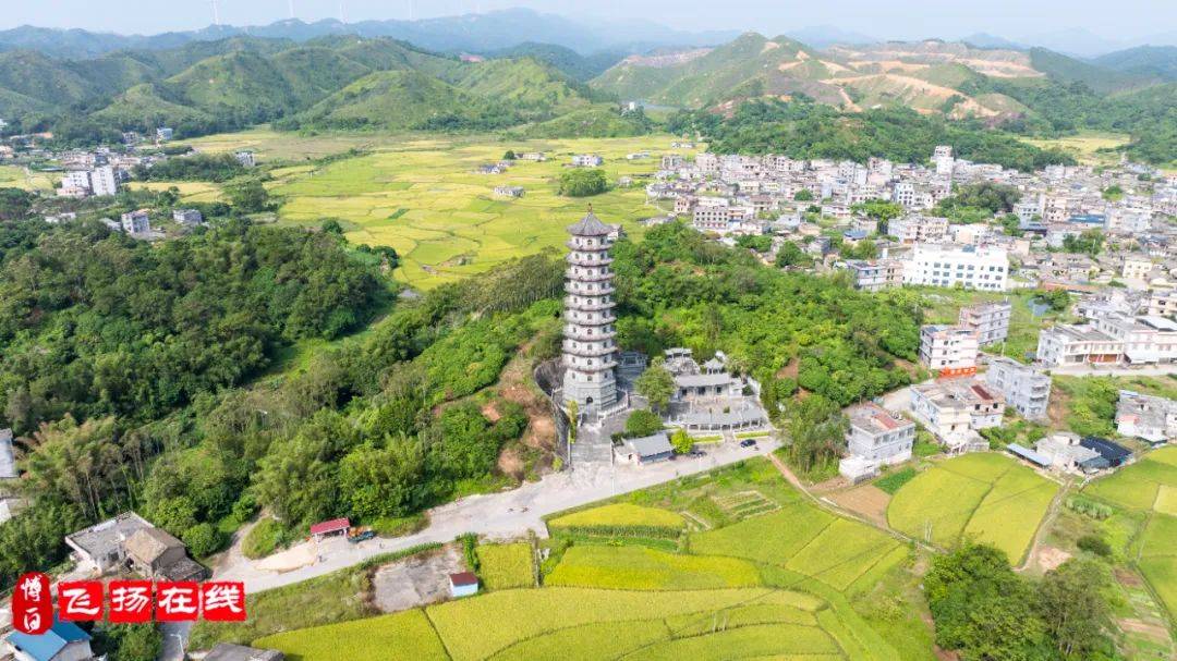 德阳桂花村图片