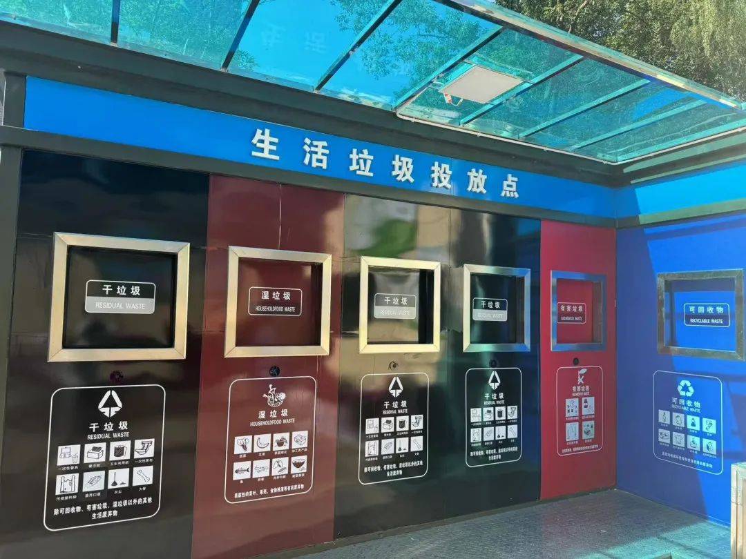 绿色新风:垃圾分类项目如何引领社会风尚