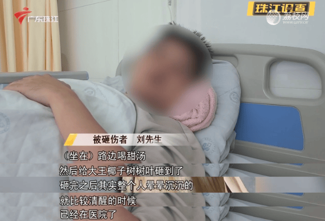 一男子被树叶砸骨折！获赔2.2万元，网友：就知道是它…