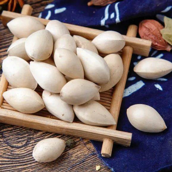 中医话中药之“白果”_银杏_补益_种子