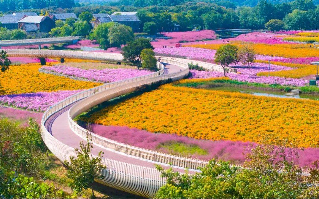 盱眙都梁花海图片