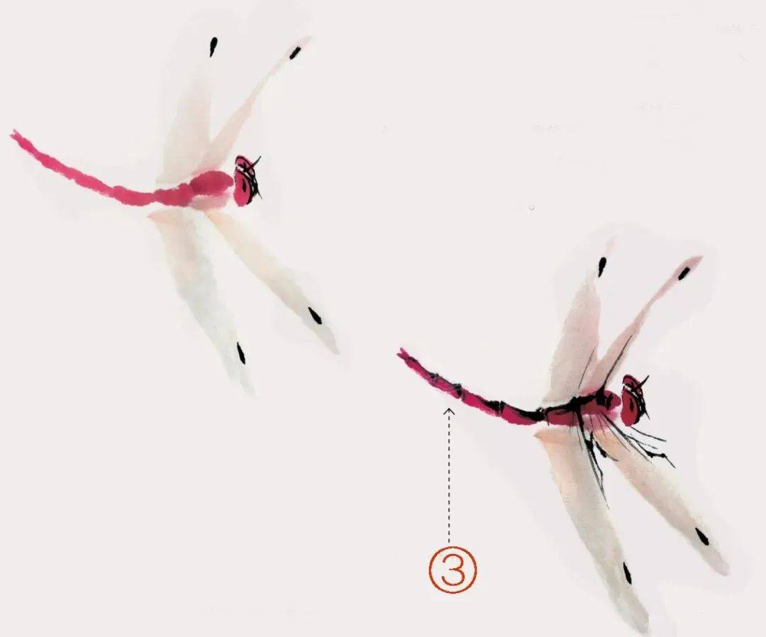 写意蜻蜓,一学就会画!