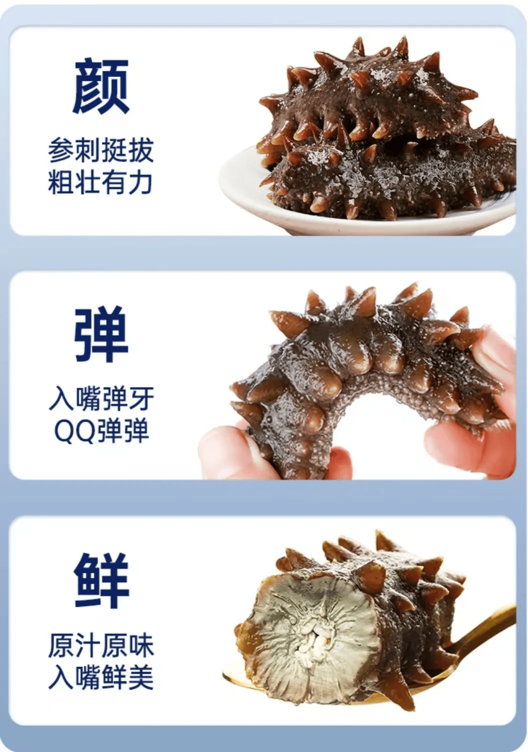 海参品种排名和价格图片