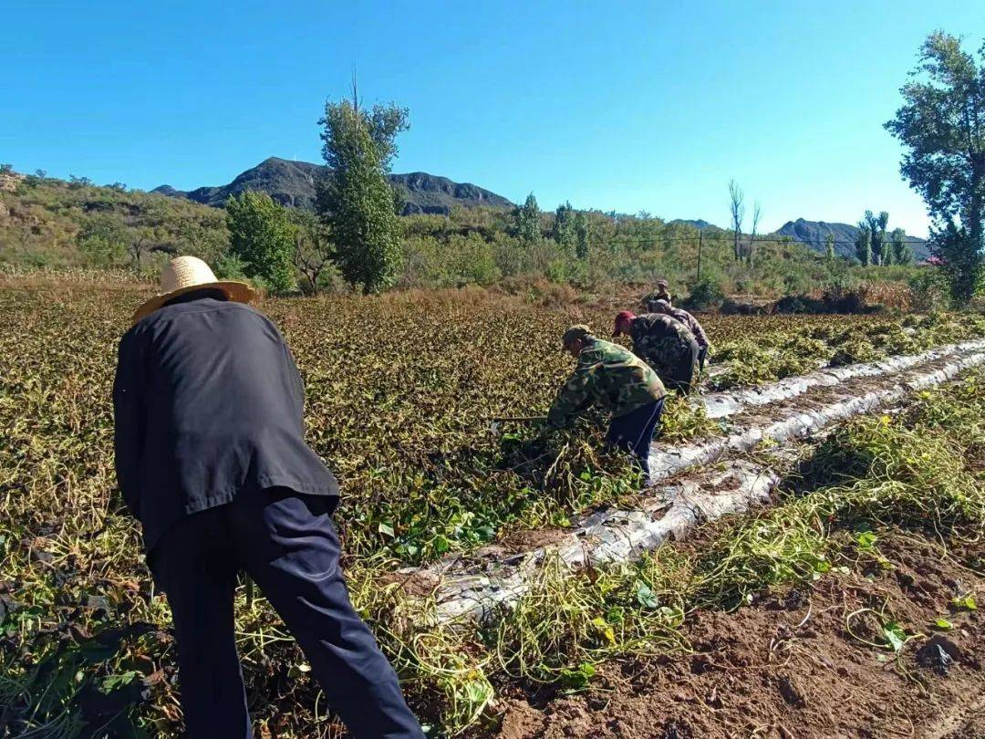 这篇文章有点“甜”(图4)