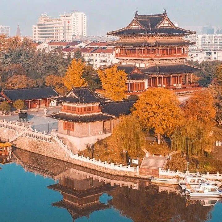 江苏泰州,秋天是满城黄金甲美到极致!_银杏_城市_江南更