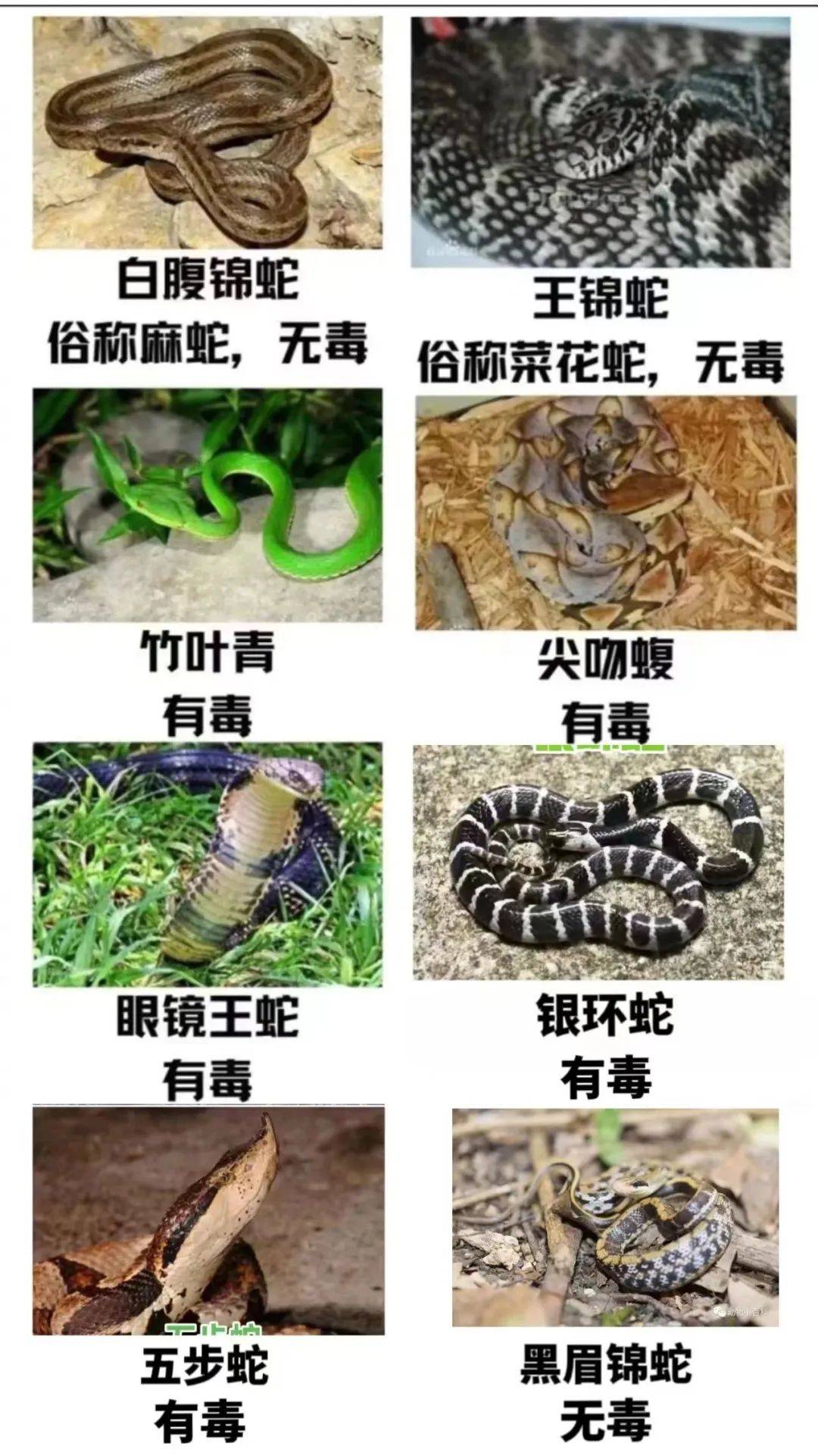 东莞一男子睡到半夜听到异响