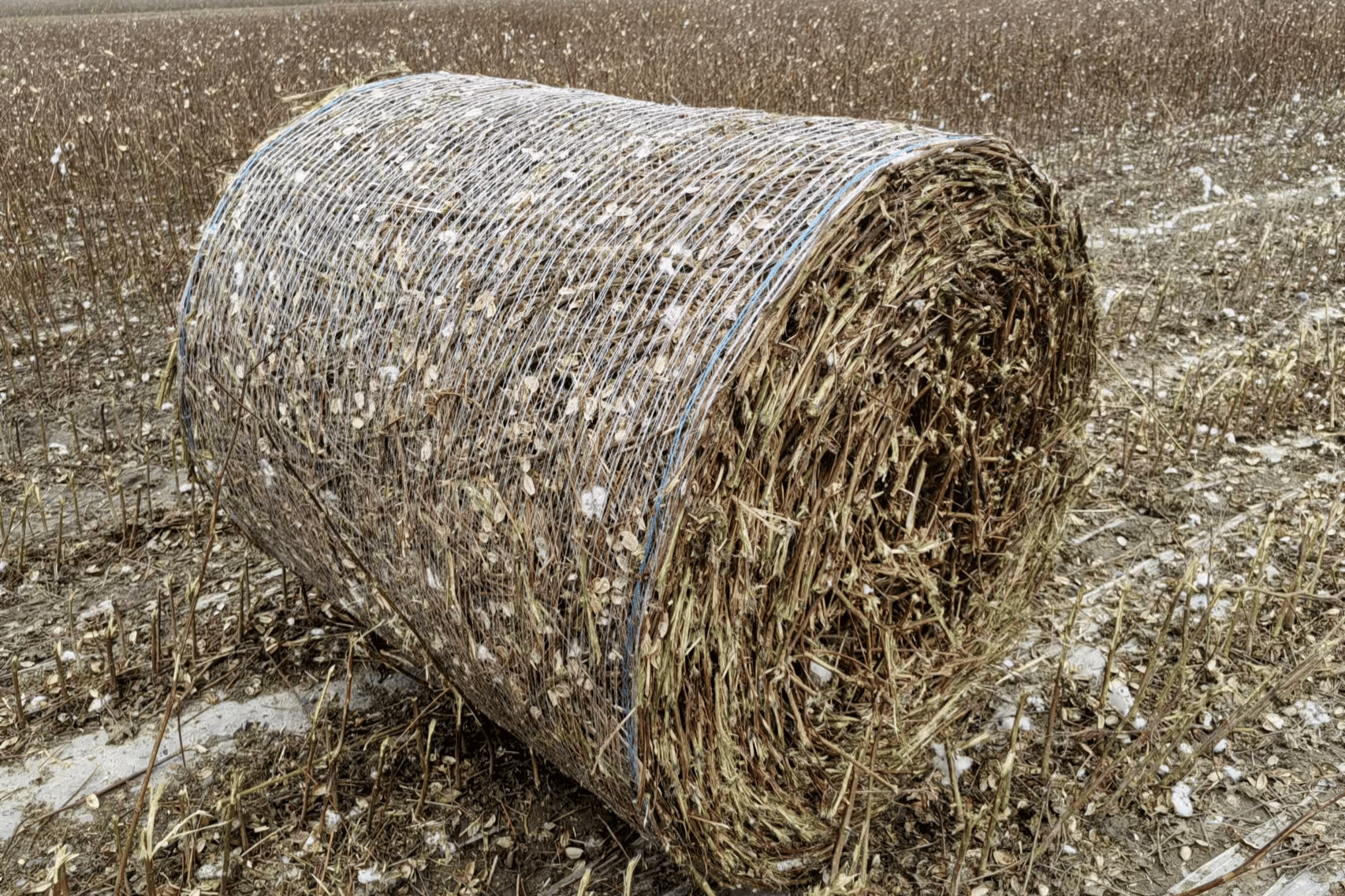 沙湾:棉花秸秆打捆机实现经济与生态"双赢"
