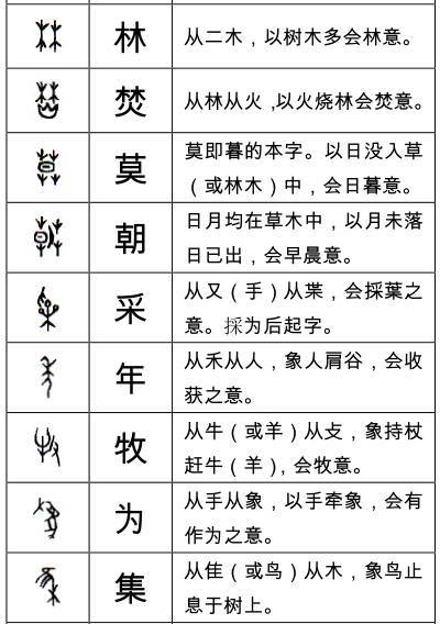 待破解的甲骨文字列表图片