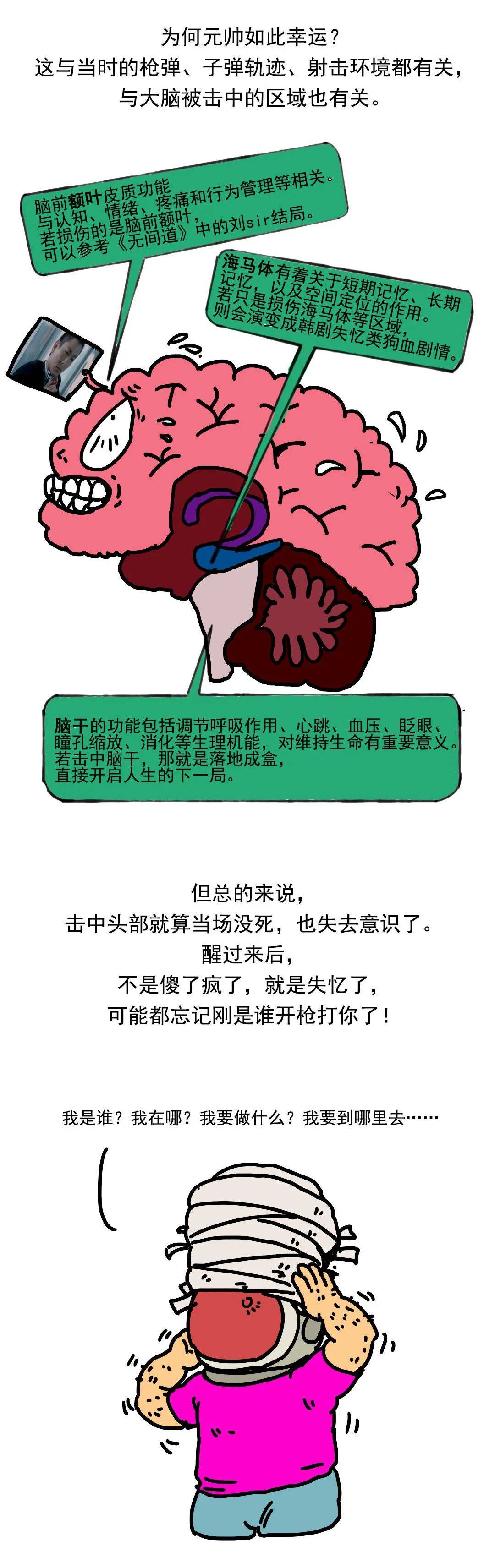 脑干在后脑勺什么位置图片