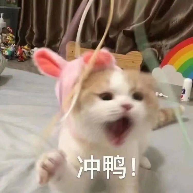 熊猫头打call表情包图片