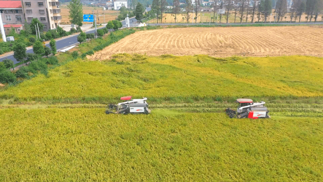 2285.24亿元!孝感增速居全省第2位! 2285.24亿元!孝感增速居全省第2位!