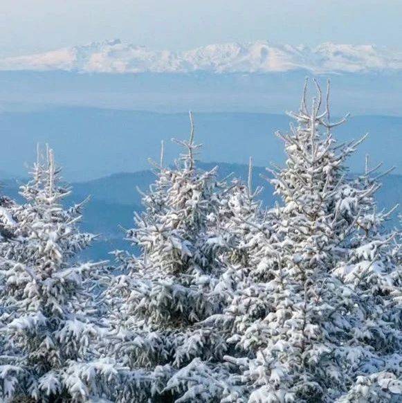 满足期待!安图邀您畅玩新雪季→_旅游_长白山_游客
