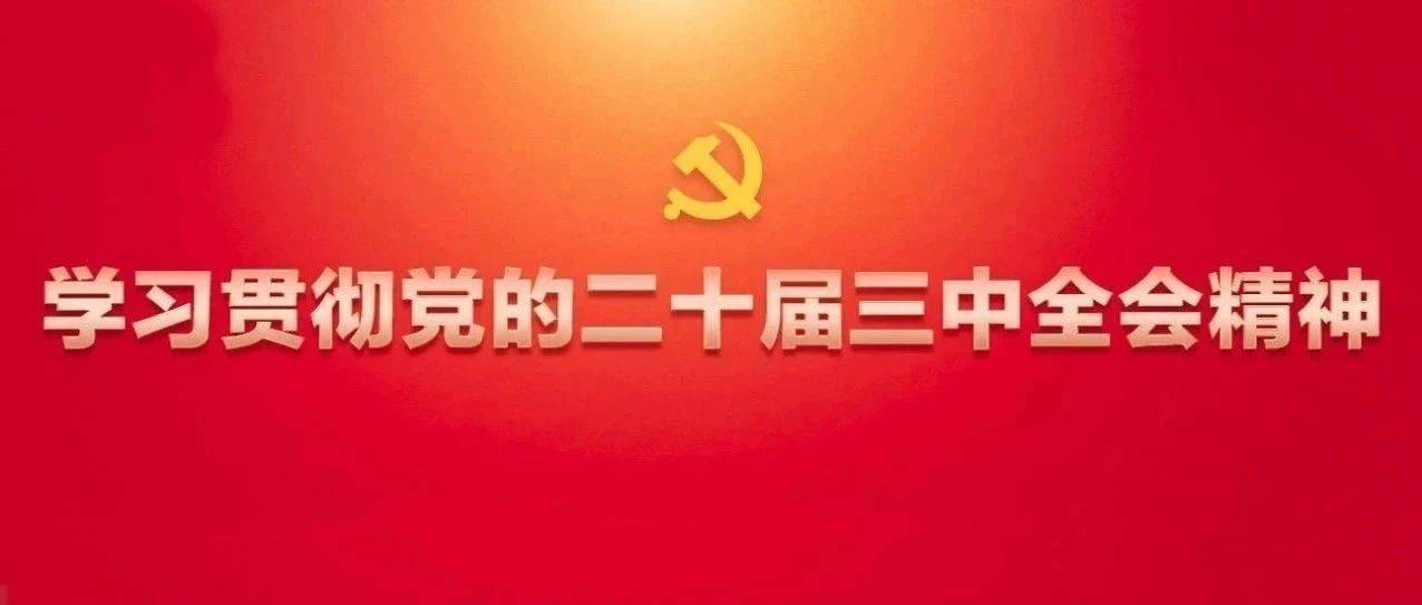 守正创新 服务大局 为进一步全面深化改革提供审计保障_监督_发展_重点