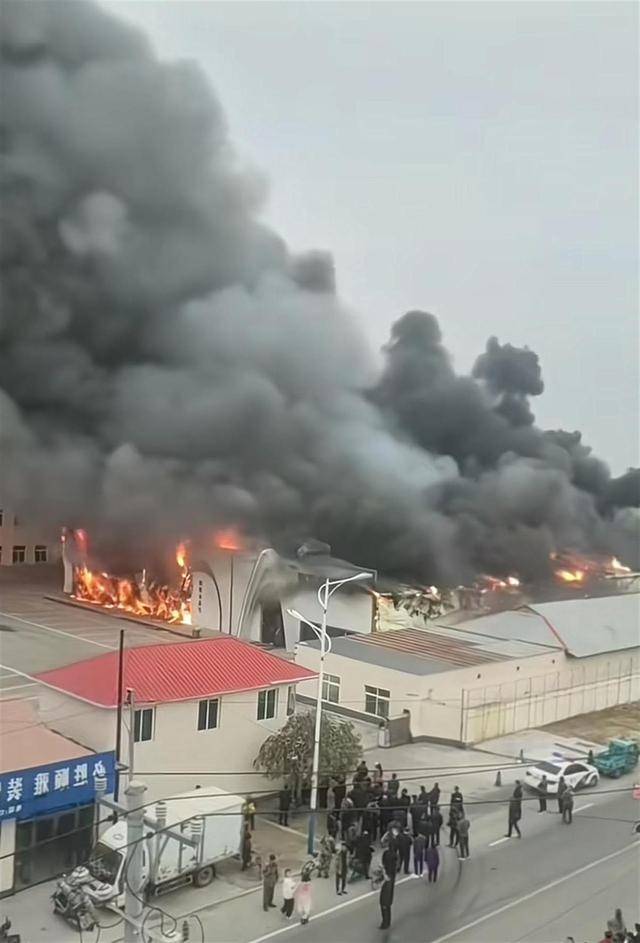 大连碧海山庄大火事件图片