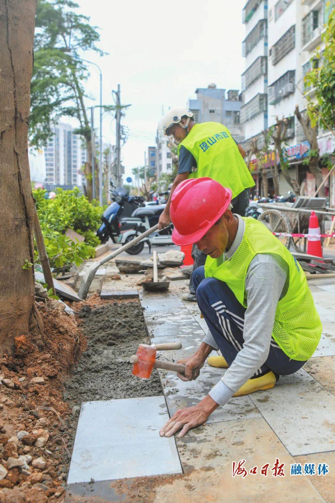 凤凰联盟注册督查“回头看” 整改见成效海口加快补缺修复因台风“摩羯”受损市政设施(图2)