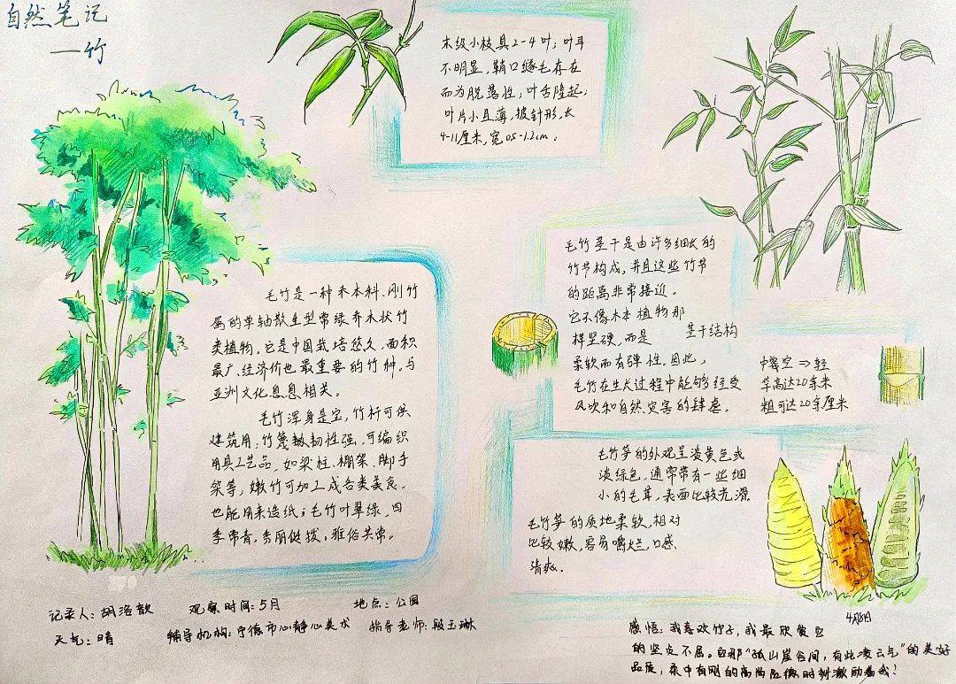 美丽中国 我是行动者|2024年福建省青少年自然笔记征