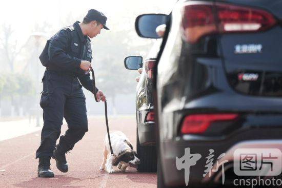 北京市警犬基地的队长图片