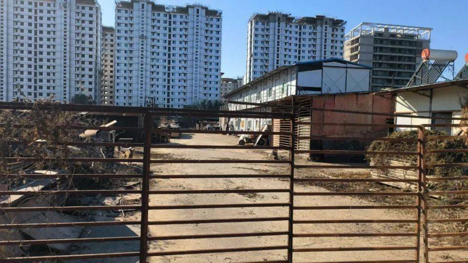 河北三河投资14亿元中国收藏文化产业园项目烂尾内幕调查(图3)