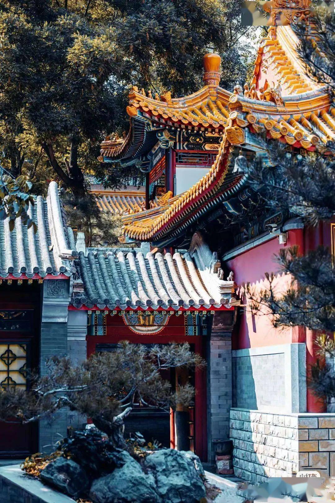 青青徒步 1117【初级】千年魔幻古刹白瀑寺12km环穿