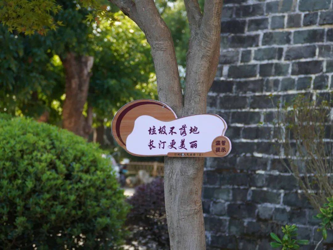 这里的街巷真"明""靓"!
