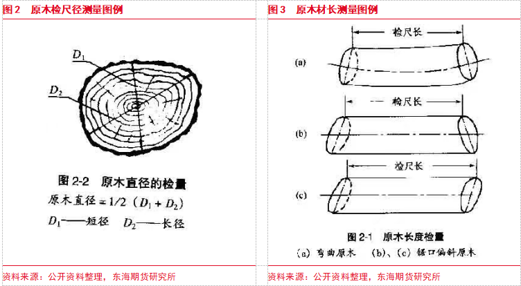 【东海专题】原木PG电子平台期货上市专题（1）：原木产业链现状及期货合约介绍(图2)