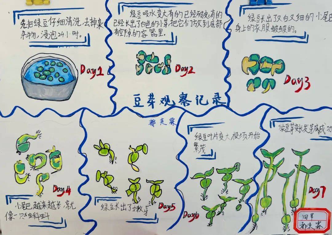 没有什么比亲自动手实践更让孩子们兴奋的了