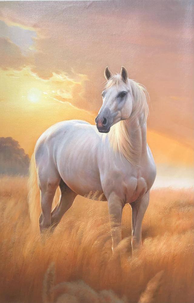 生肖马十一运势怎么样女(属马十一月运程)