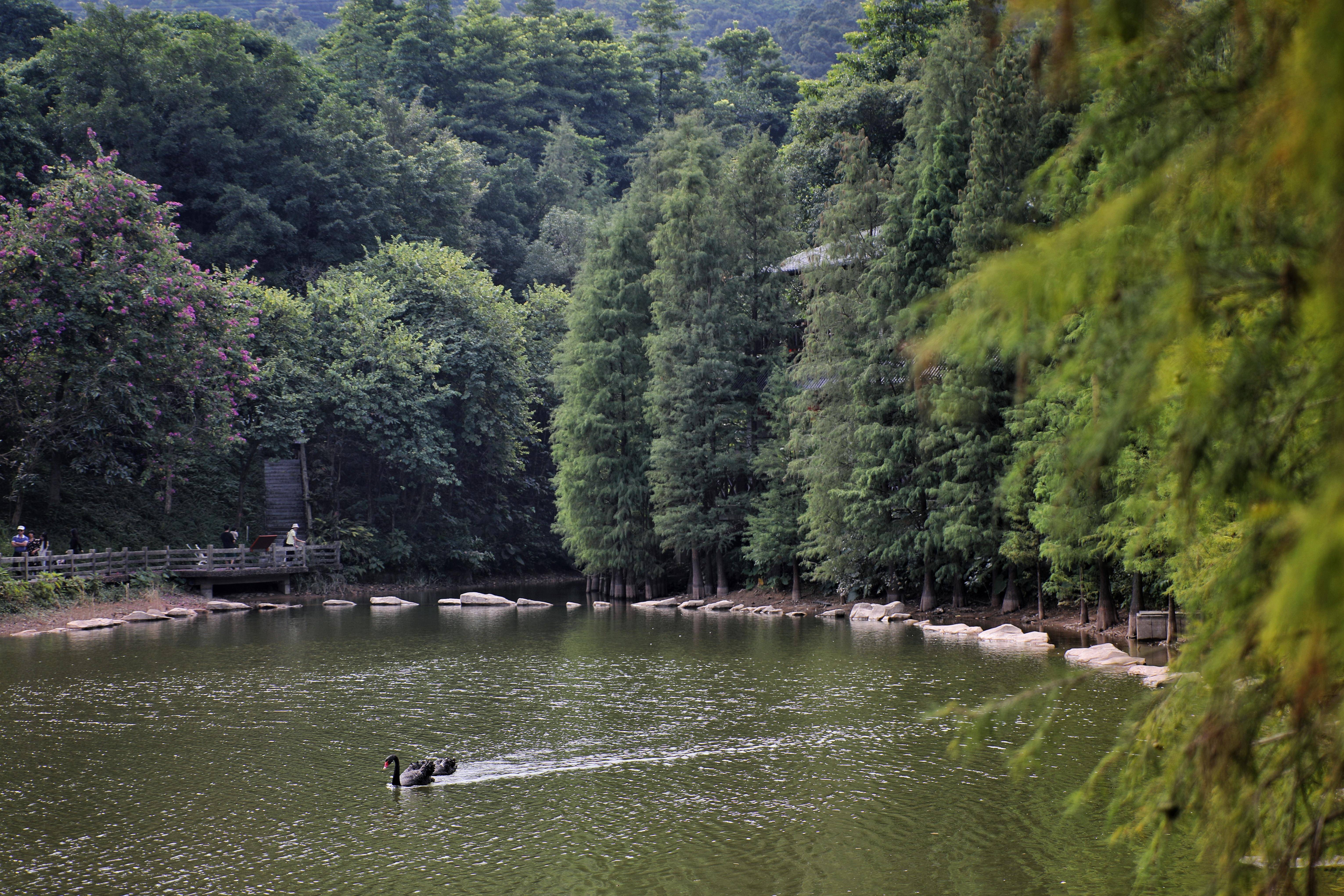 帽峰山正式挂牌国家4a级旅游景区