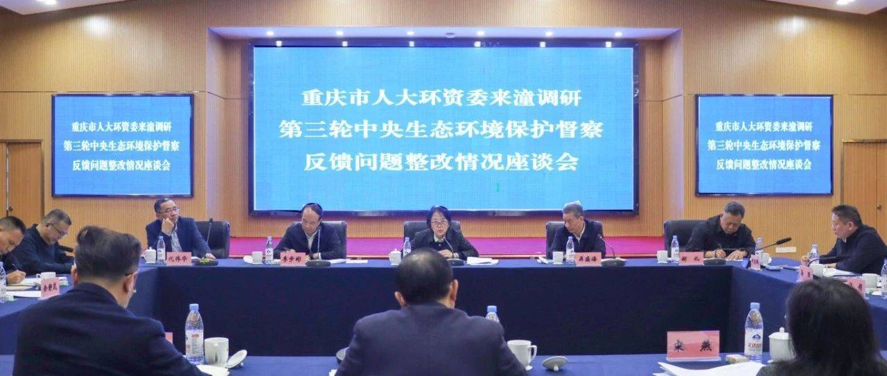 陈元春调研第三轮中央生态环境保护督察反馈问题整改情况_南区