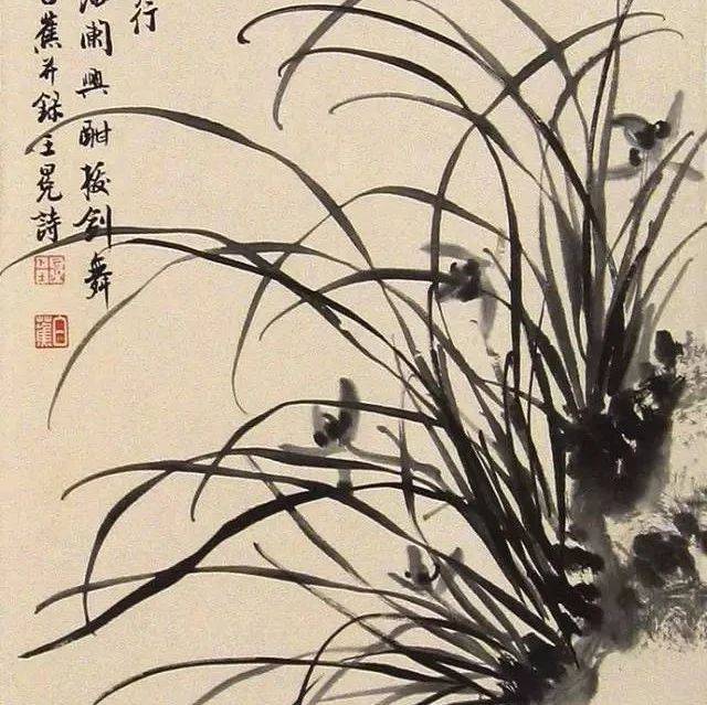 画兰花,你还不会构图?_兰画_画面_变化