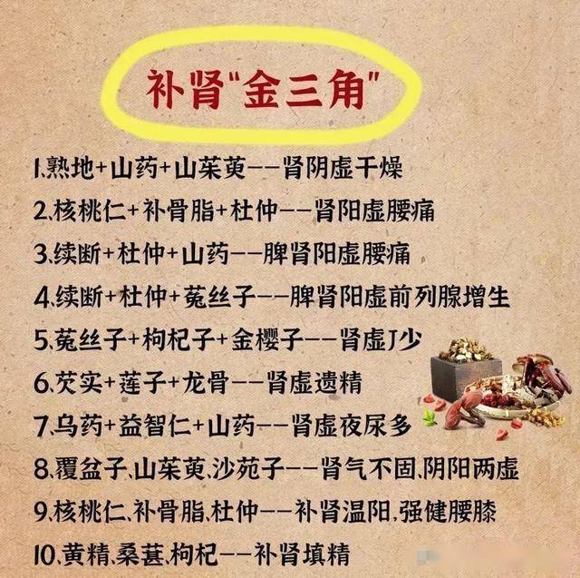 双肾草补肾怎么吃图片