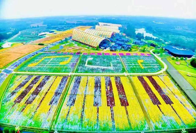 国际大会及会议协会(icca)来新津了,共话发展新机遇!_会展_天府_合作