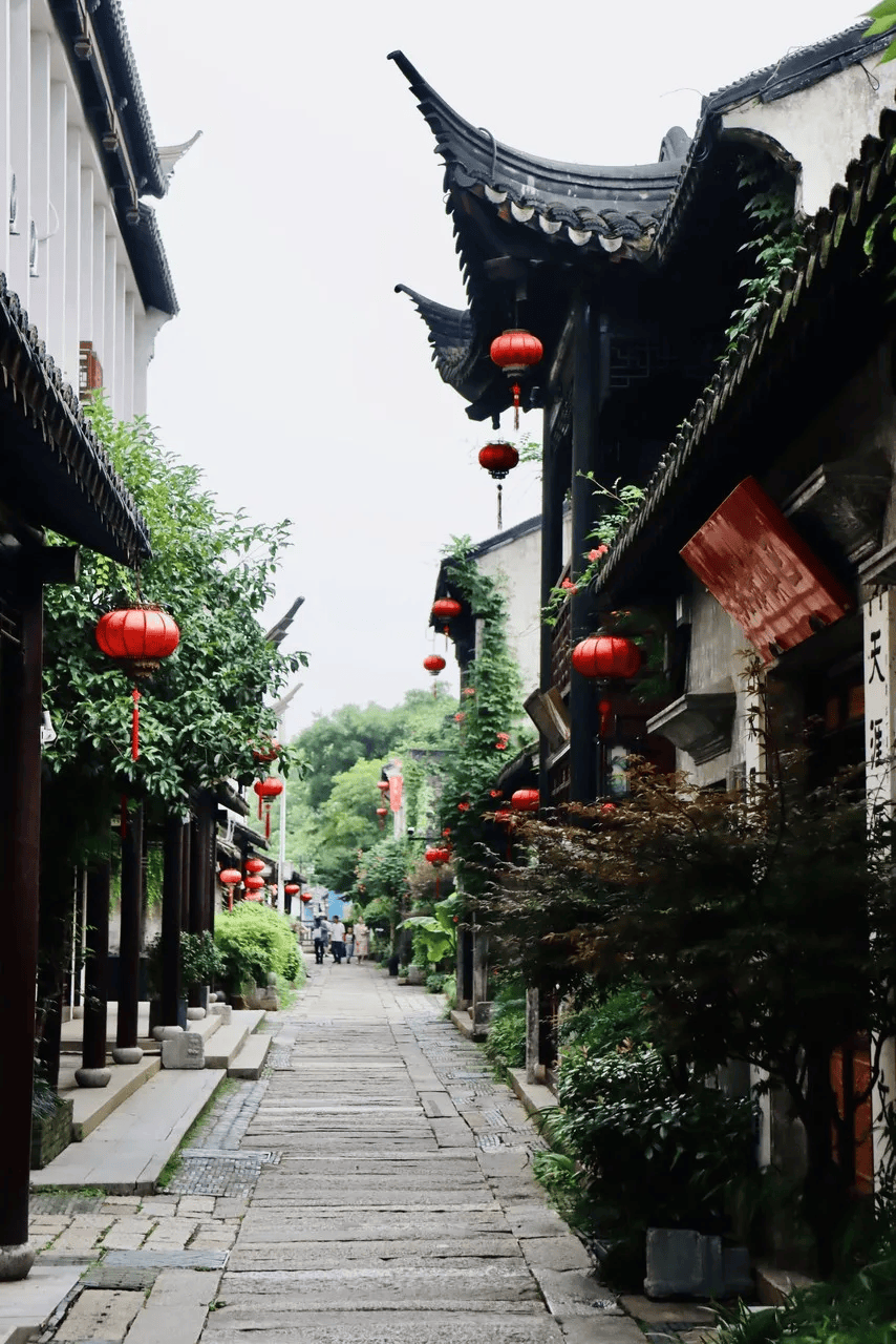 而正仪老街,则是一条承载着岁月沧桑与人文情怀的古老街道.