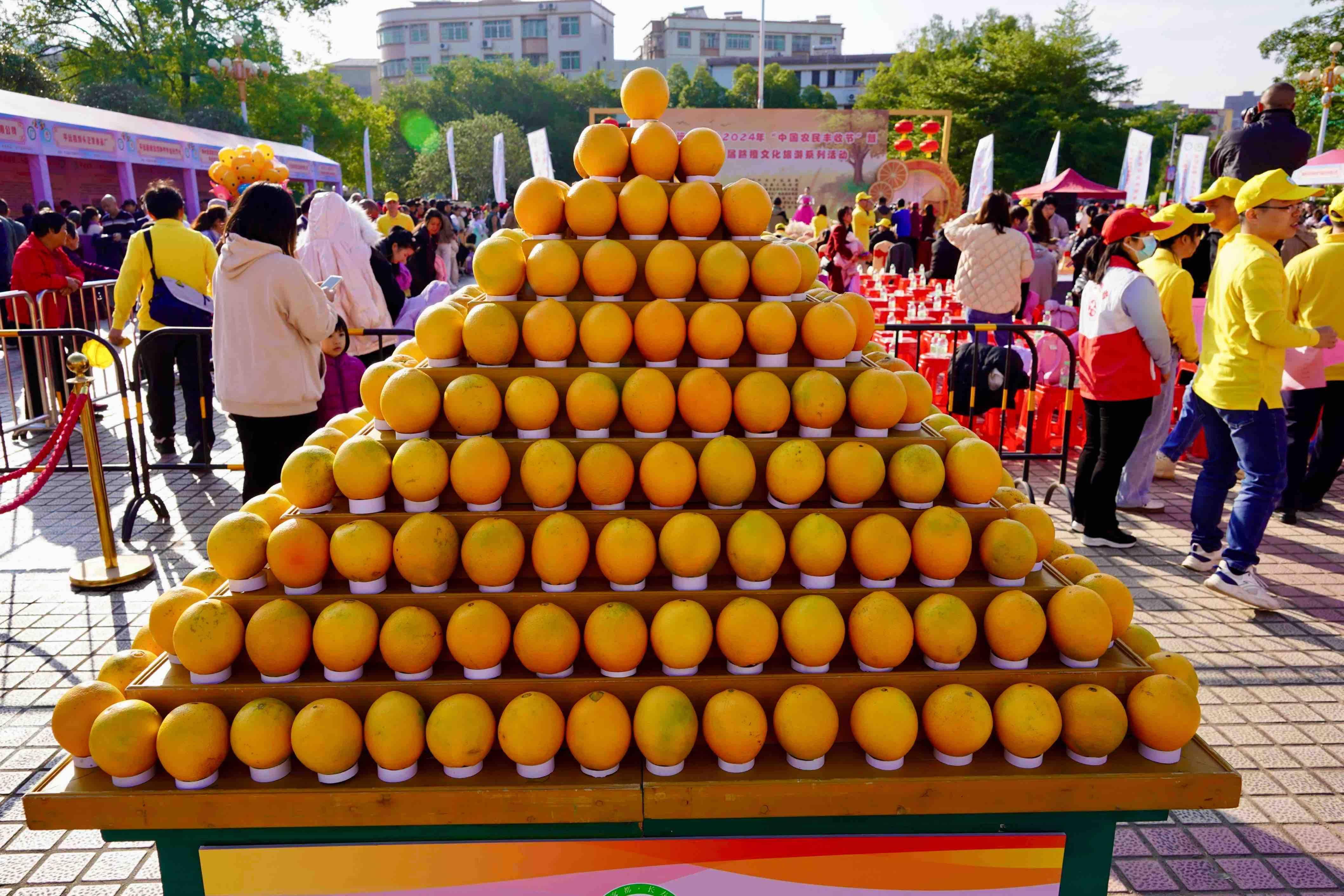"橙"心"橙"意!梅州平远第二十届脐橙文化旅游系列活动举行