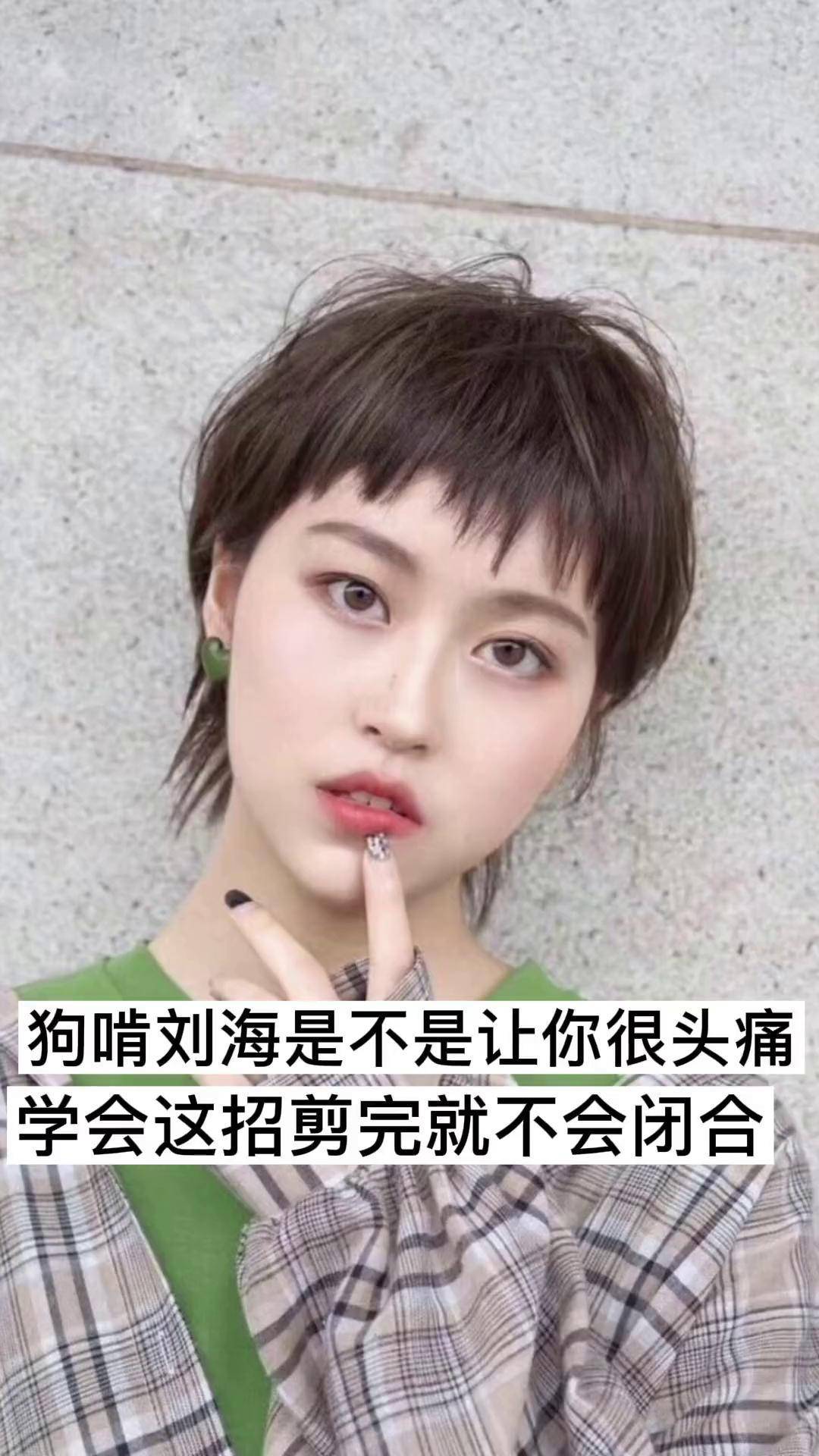 狗啃碎发男生怎么剪图片