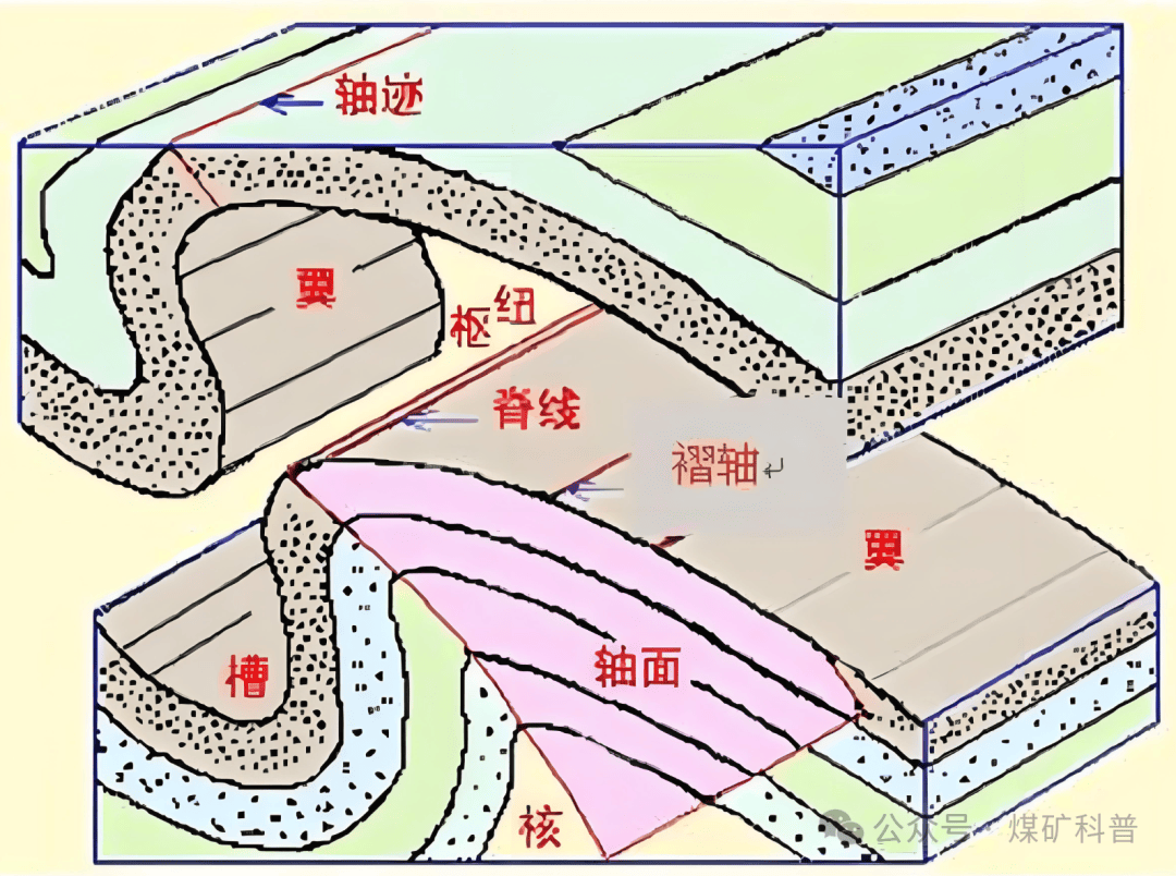 褶劈理图片