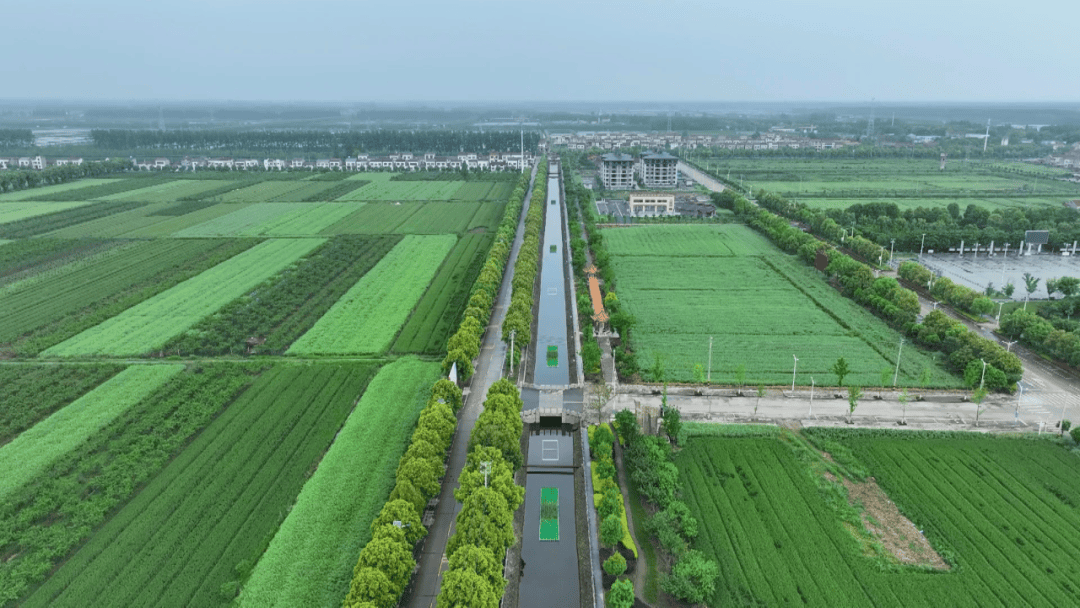 湖北懿昌能兴：开拓水生植物市场 年产杯苗超3000万株美嘉体育网址(图3)