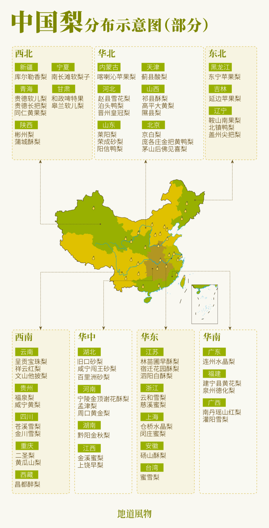 图片[3]-冬天第一国民水果，滋润了中国人3000年-华闻时空