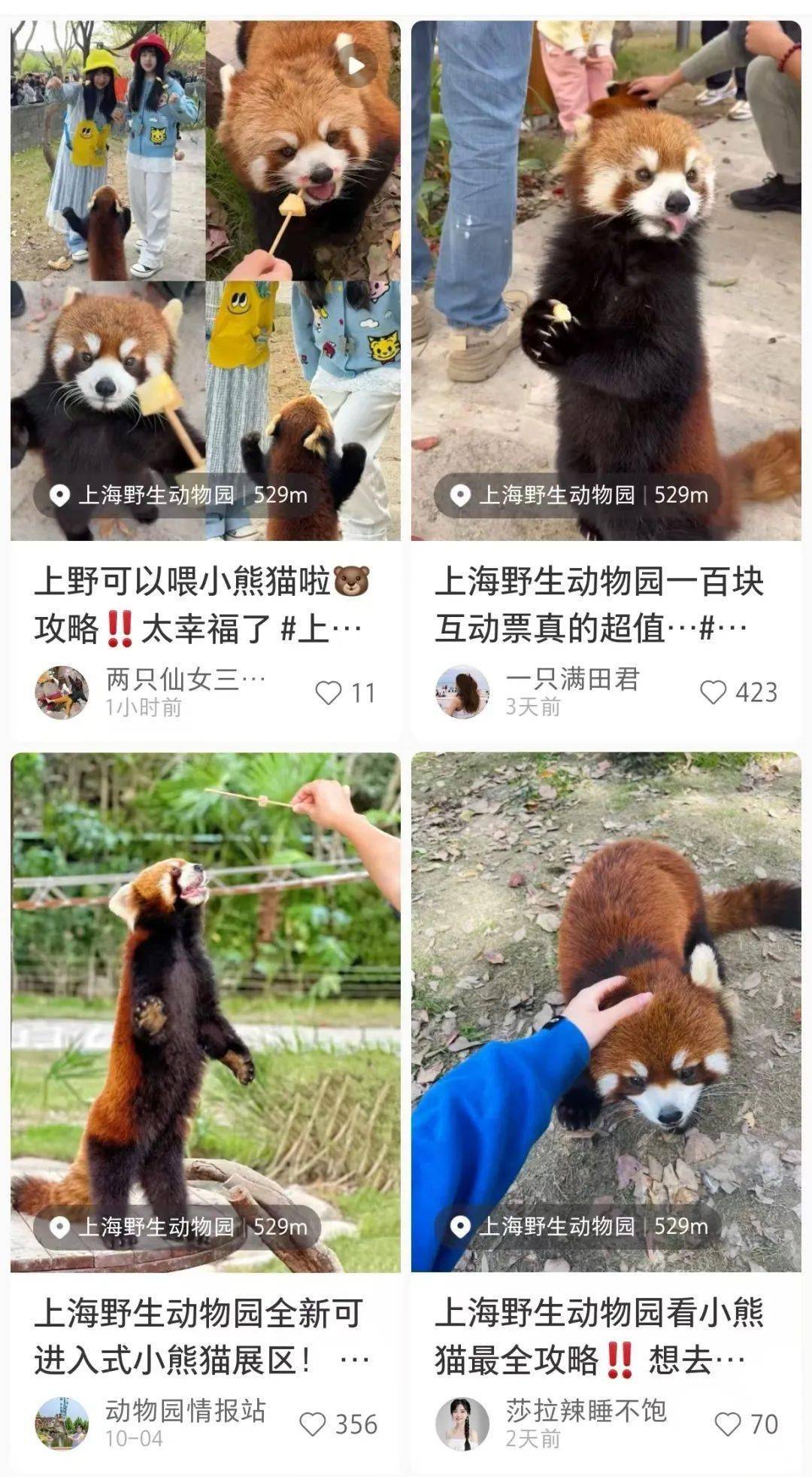 小熊猫发源地图片