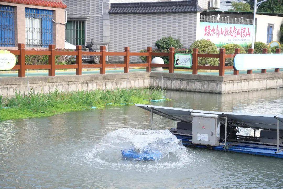 果博平台从“臭河道”到“清水湾”家门口的三条河道焕新升级→(图3)