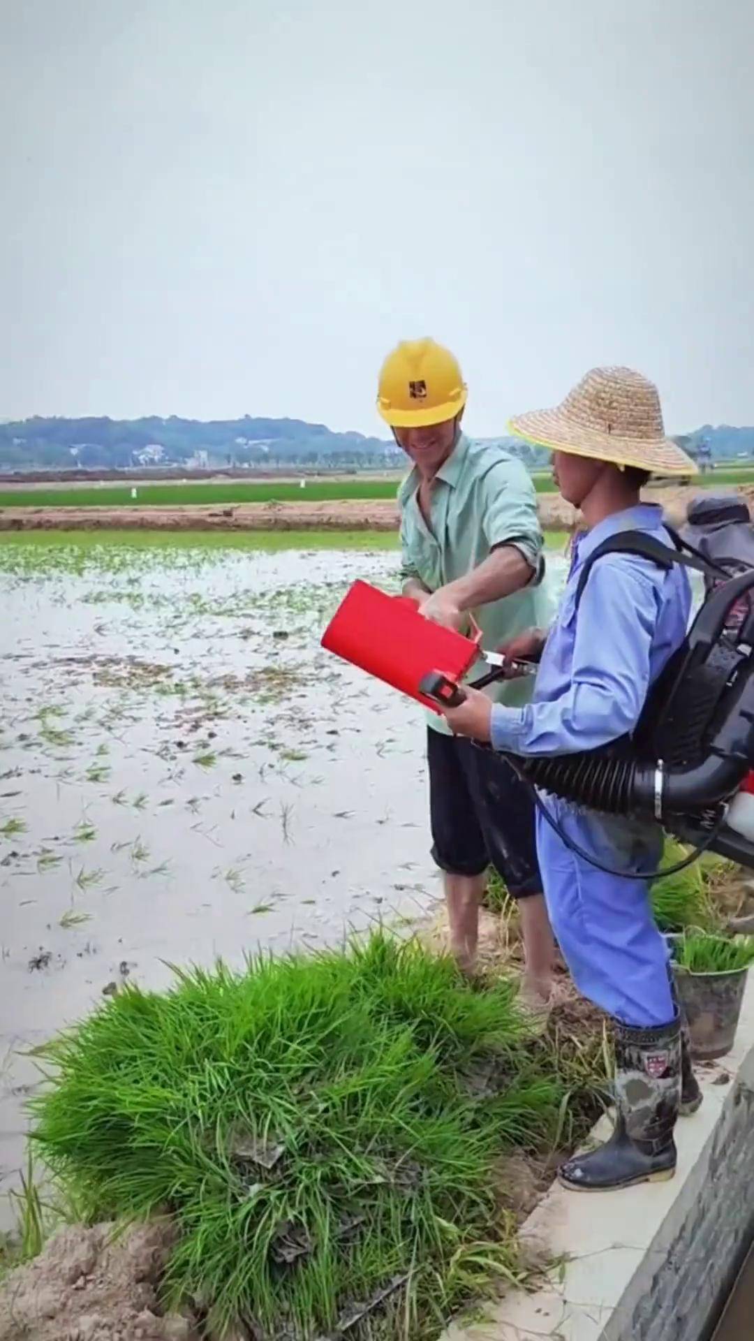 抛秧还可以这样抛,装备不错 三农工具