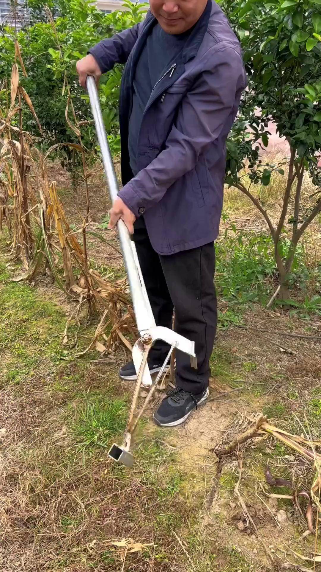 玉米秆,烟秆,棉花秆等手动拔秆器 服务三农支持三农 助力三农