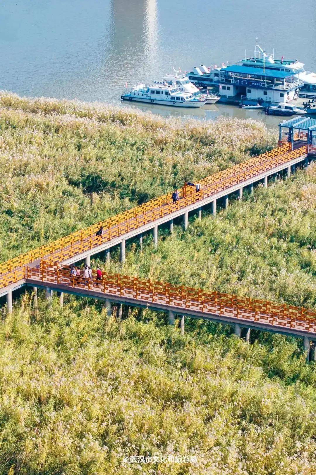 湖北的秋末初冬,满足你的心趴_度假村_温泉_冬日