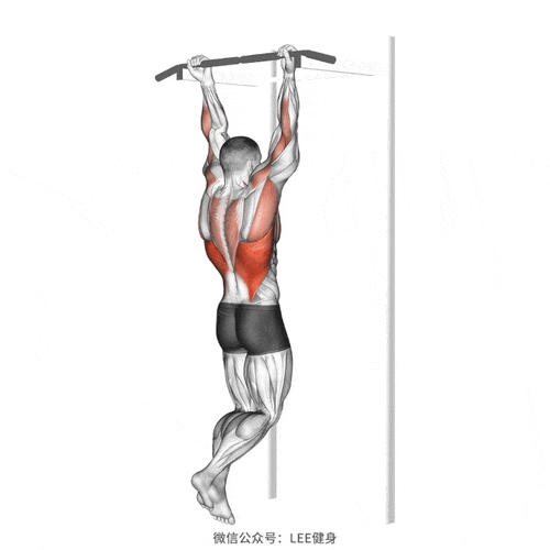 锻炼_训练_肌肉